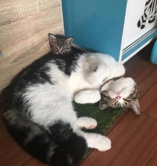 女子被赌徒前夫当儿子面残忍杀害，背后真相令人震惊！