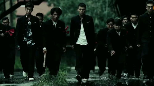 欧豪剧中护花场景