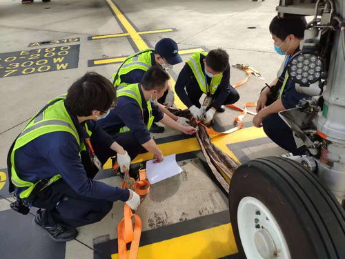 工作人员应对台风