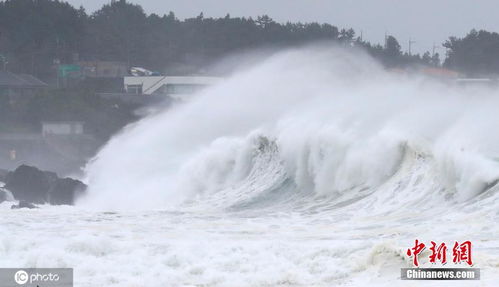 台风杨柳强势登陆台湾沿海，威力惊人！
