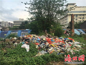 震惊！万亿恒大确定退市，许家印等人被追讨巨额股息酬金