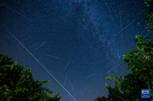 英仙座流星雨照片
