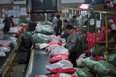 快递员忙碌工作