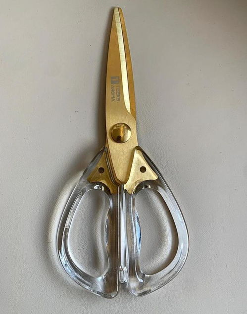 左撇子的世界：独特体验与奇妙真相