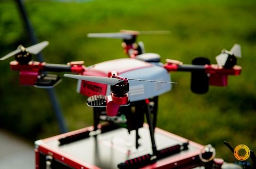 世运会的‘绿’之韵：蓉城里的生态竞逐盛宴