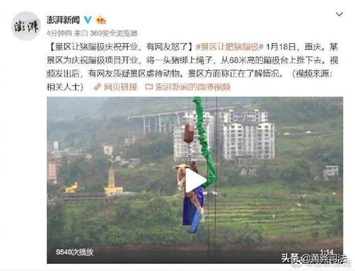 景区加强管理的宣传海报