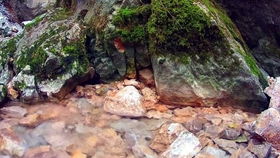 清澈见底的小溪流水