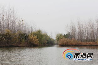 湿地公园美丽的自然风光