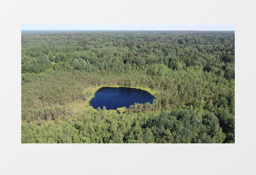 践行‘两山’理念，共筑人与自然和谐共生的美丽中国