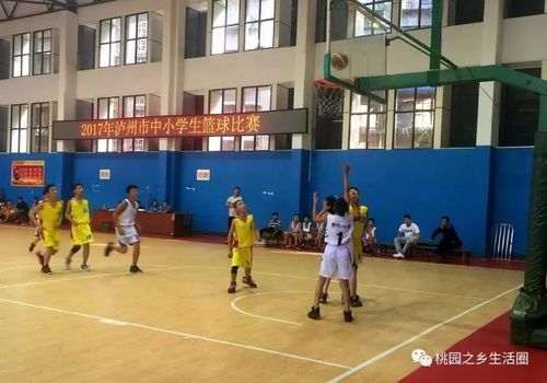 中国男篮队员赛场风采