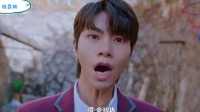 周阴婷伪女打拳被鹅厂羞辱退货：网络暴力下的退圈之路