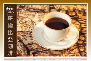 不同咖啡品牌的对比图