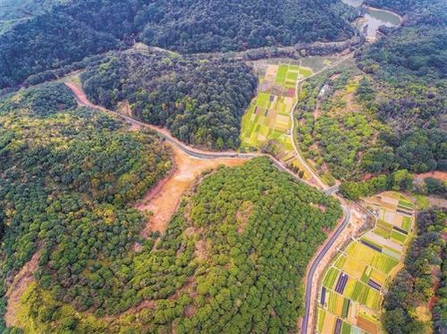 两山理念20载：从余村走向全国的生态智慧