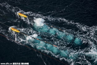 格陵兰岛300万年冰川轰然倒塌，地球警钟再次敲响！