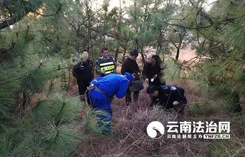 男童走失遇难，涉事夏令营竟无研学资质！