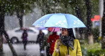 人们撑伞走在风雨中
