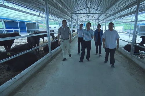 网友举报养殖企业污染遭报复？江西高安官方回应啦！