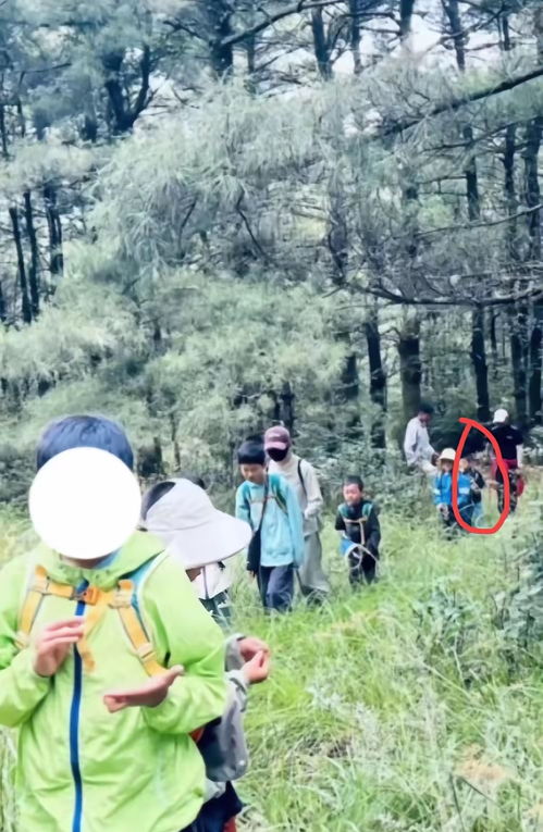 苍山失联男童：距离走失处仅1公里却未能平安归来