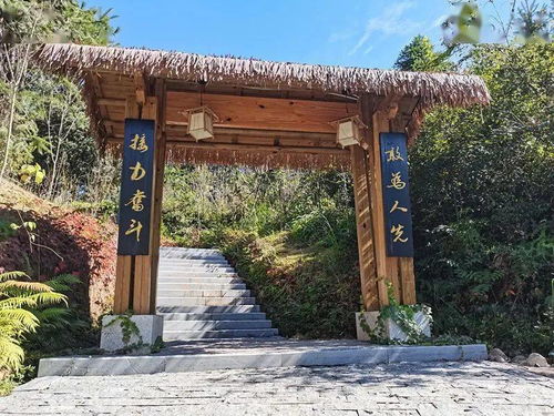 近观“两山”：青山蝶变，幸福就在眼前