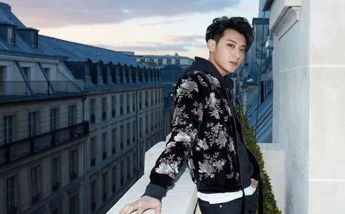 黄子韬舞台风采