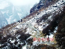 登山者艰难前行