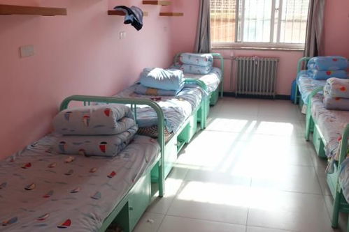 高校宿舍空调租金四年竟达1680元？背后真相令人深思！