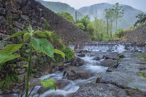 清澈的小溪流淌过村庄