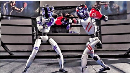 人形机器人展示