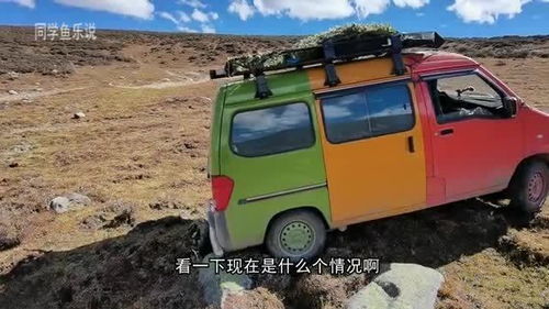 孕妇被表姐夫诱骗至泰缅边境，人贩子威胁恐吓令人发指！