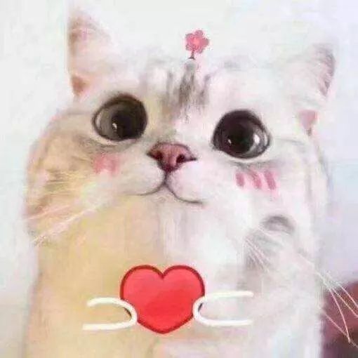 淡定微笑的表情