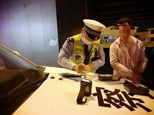 国安机关揭露：一场荒诞的‘政治避难’闹剧背后的故事