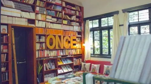 合诗雨写作场景