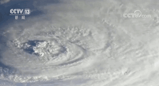 台风杨柳最新路径大揭秘！