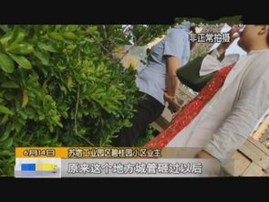 王女士家附近被圈占的公共绿地