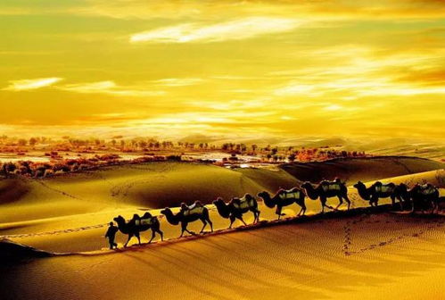 未来丝绸之路景象