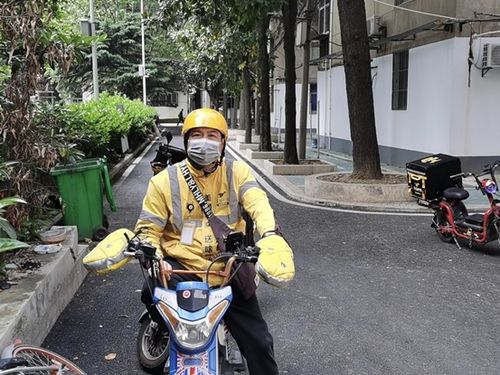 净网行动下，“苏星颜”造谣牟利终受罚