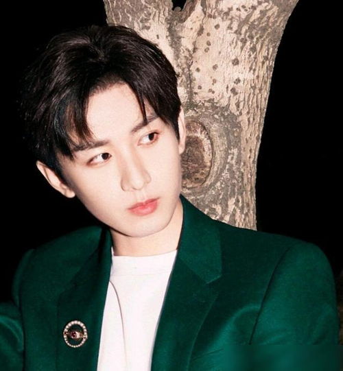 成毅版《法修》散打：燃炸全场的精彩对决！