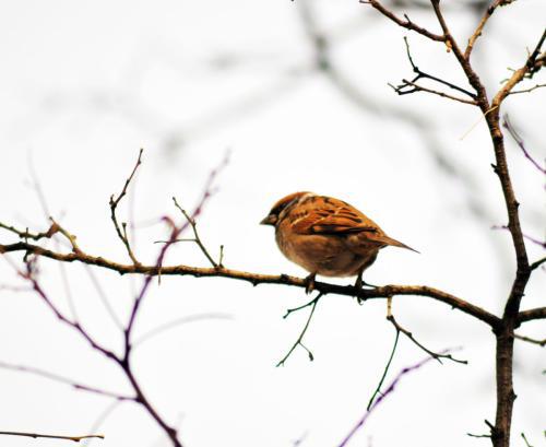 面对股市创新高，你会恐高减仓吗？