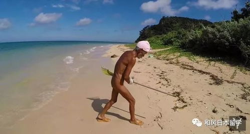 众人在荒岛前行