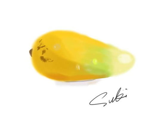 苏苏在认真地学习