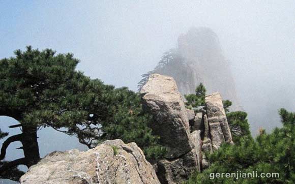 这个旅游大省，竟如此‘盯’上过客！
