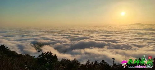 户外达人：又帅又厉害才是我的追求