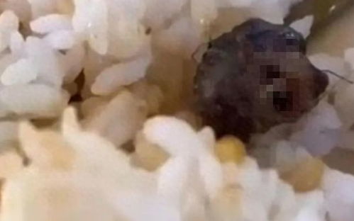 广东一学校食堂惊现老鼠！市监局火速回应