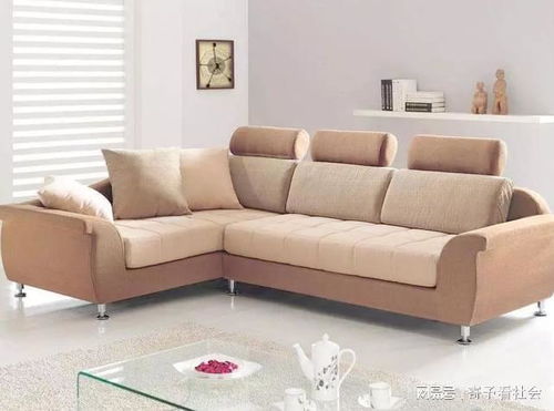 刘孜进山背后：母子对峙下的自我修复之旅