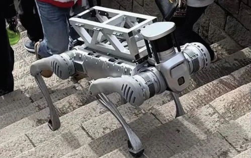 1500米决赛冠军诞生！宇树春晚扭秧歌机器人闪耀赛场