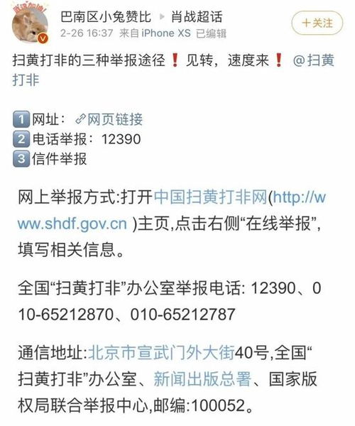 肖某董某莹事件后续：卫健委最新通报震撼人心