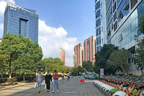 城市整洁环境前后对比