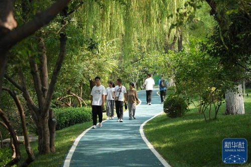 城市绿道上运动的人们