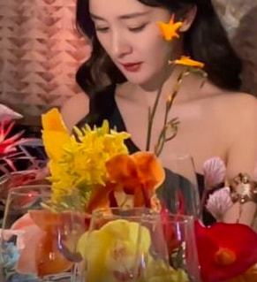 杨幂霸气表情包