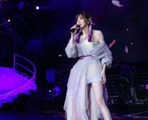 王心凌北京演唱会引发求职新奇招